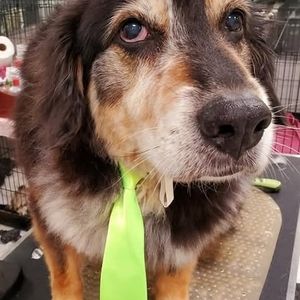 Meet your Posher, Liza